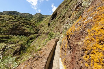 Teneriffa - von Punta del Hidalgo nach Batan de Abajo