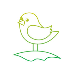 cute bird standing in the field cartoon vector illustration neon color line image