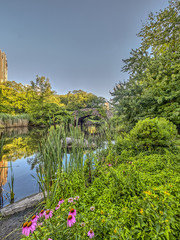 Gapstow bridge Central Park, New York City