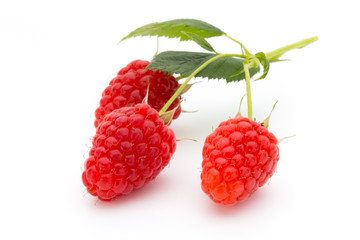 Raspberries.