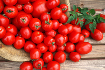 Fresh tomato crop in a wooden bowl