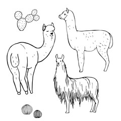 Hand drawn alpacas. Vector sketch  illustration.