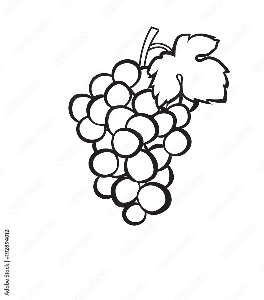 Sticker cluster of grapes with leaf sketch icon for web, mobile and infographics. hand drawn cluster of grap