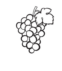 Cluster of grapes with leaf sketch icon for web, mobile and infographics. Hand drawn Cluster of grapes vector icon isolated on white background.