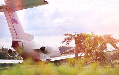 Plane in the jungle. The plane landed in the dense vegetation of