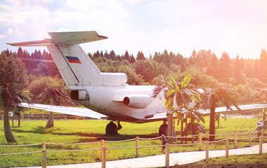 Plane in the jungle. The plane landed in the dense vegetation of
