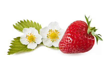 strawberry with flowers
