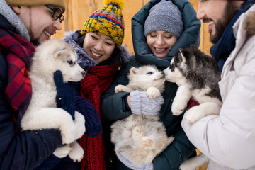 Group of young people playing with adorable husky puppies smiling happily enjoying nice winter day outdoors