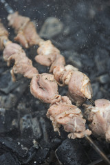 Pork shashlik