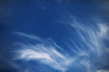 Fototapeta na wymiar white clouds in a blue sky