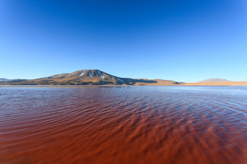 Laguna Colorada view, Bolivia