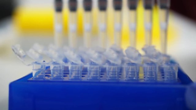 Laboratory test plate. medical test of blood or dna. test of cancer or virus.