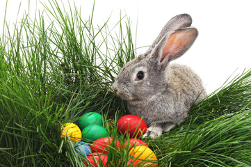 Easter bunnies with colored eggs.