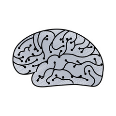 electronic circuit board brain in artificial intelligence process vector illustration blue drawing