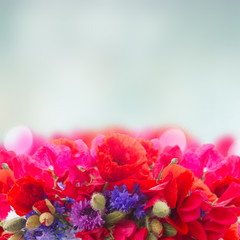Poppy, sweet pea and corn flowers