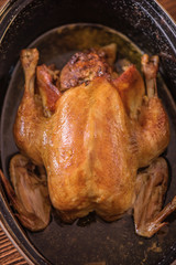 roast chicken out of oven in roasting  pan 