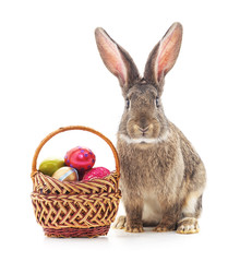 Easter basket and bunny.