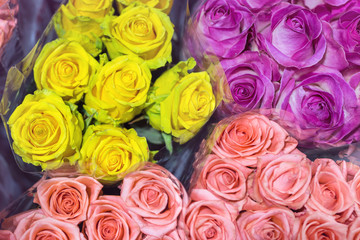 Bunches of multiclored  roses. Fresh flower background. Florist  service.  Wholesale  flower shop. Flower storage. Top view