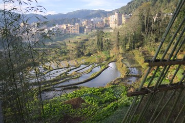 Rice terraces in Yuanyang (Yunnan, China)