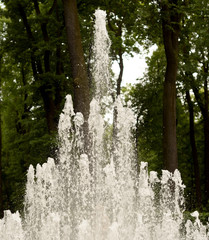 Water of fountain.