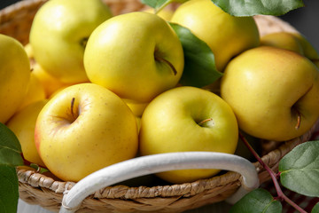 Basket with ripe yellow apples, closeup - obrazy, fototapety, plakaty