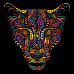 Color leopard from beautiful various patterns