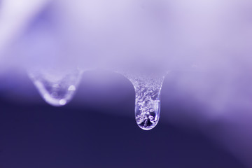 frozensnow, snow, frozen, icedrop
