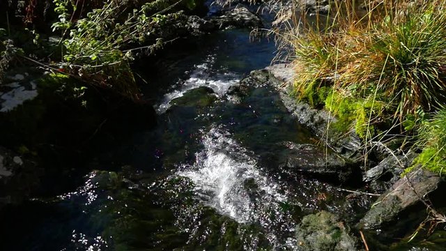 Autumn river, slow motion view of a small river, in a autumn color landscape, on a sunny fall day, on simplon pass, in the swiss alps of Switzerland