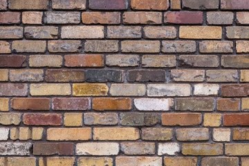 Brick texture colorful wall or floor