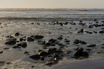 Mossy rocks in the sea