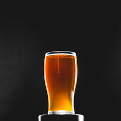 Brown Red Ale Homebrew Beer Pint