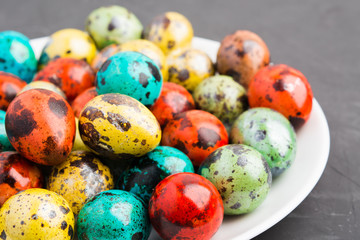 Closeup view of colorful Easter quail eggs