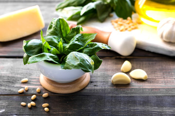 Fresh ingredients for making Italian pesto sauce