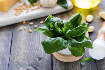 Fresh ingredients for making Italian pesto sauce