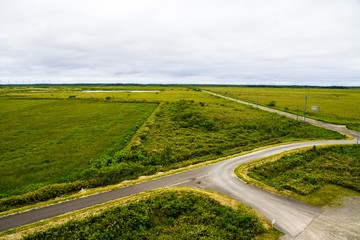 サロベツ湿原内のT字路