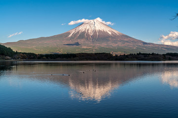Beautiful clear sky Sunset, ducks swimming at Tanuki Lake(Tanukiko). Fuji mountain reflections, first snow in autumn season. Located near Tokai Nature Trail, Shizuoka prefecture, Fujinomiya-shi, Japan