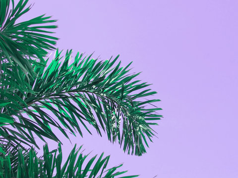 green palm leaves over violet background