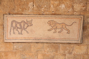 taureau et lion