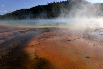 Geothermal steam