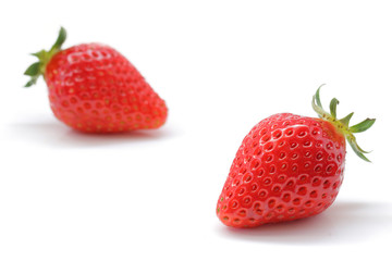 イチゴ とちおとめ 白背景