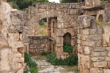 les ruines romaines d'Al Bass à Tyr