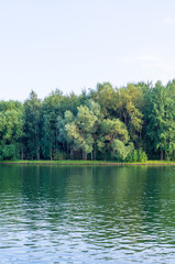 Fototapeta na wymiar green water in the forest lake. background.