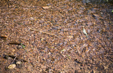 texture of water in shallow river with sandy bottom. vignette, background, nature.