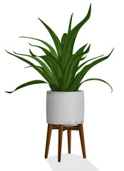 Artistic rendering of a spiky houseplant in a contemporary concrete planter isolated with wooden plant stand. 