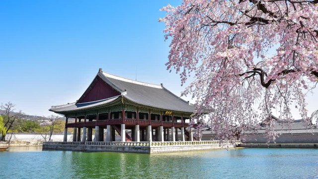 Time lapse Gyeongbokgung palace in spring ( Sign board text is " gyeonghoeru pavilion")