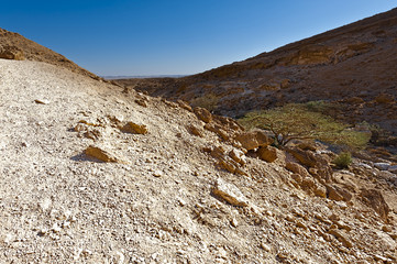 Negev Desert in Israel.