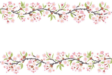 Fototapeta na wymiar Cherry blossom frame