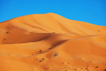 Fototapeta na wymiar Sand desert