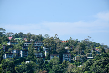 Fototapeta premium buildings among tropical trees in Thailand