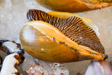 fresh seafood in the ice in Thailand